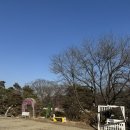 동남아 | 남양주 진접 ‘달빛새 베이커리앤카페’ 후기 | 동남아 감성, 주차 편한 카페