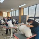 진주애견 네이버블로그