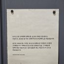 모디스트 임팩트