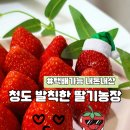 기택농장 이미지