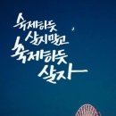 파이진 명품피부
