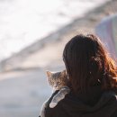 고양이의 하루 이미지