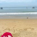 핸인핸 | [2025.06.21-22] Aqours 피날레 후기