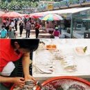 강화밴댕이 이미지