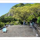 제주도 산방산 광명사 이미지