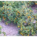 그린사이드펜션 이미지