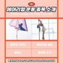 티나에어리얼스쿨