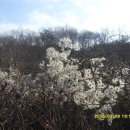 갯벌보러가는길 이미지