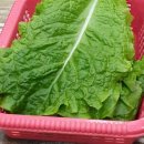 (주)이레팜 이미지