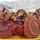 새터농장 이미지