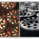 동원연탄 이미지