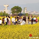 갈매광장_애비뉴거리 이미지