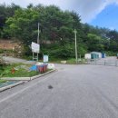 영월 상동 이끼 계곡 출사 후기 – 자연의 신비 속으로 떠난 특별한 하루