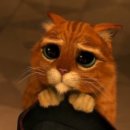 스타벅스춘천구봉산R점 이미지