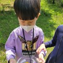 개곡초병설유치원 이미지