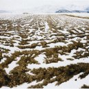 퇴촌면-3 이미지