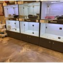 도그마루 이미지