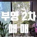 부영베스트공인중개사사무소 이미지