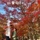 관음초등학교 정문 앞(관음제1공영주차장) | 경주 단풍 명소 불국사 실시간 단풍길 사진 주차 입장료 &amp; 막바지 단풍 구경 후기