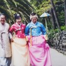 지성조체험옷방