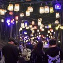 대숲속으로 이미지