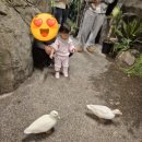 입장-16 | [하남 주렁주렁] 핫딜 할인 가격 &amp; 18개월 아기 무료 입장 증빙 서류 &amp; 유모차 주차 준비물 꿀팁 후기