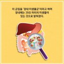 피트니스 마틴 이미지