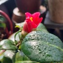 더드림손해사정행정사사무소 | 오산법무사, 동탄법무사 추천 : 공동명의 자동차, 상속 후 폐차 가능할까?