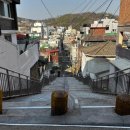 곰달래로 이미지