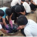 신북중학교 이미지