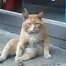 누 이미지