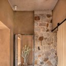 Design Dog 이미지