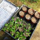 목원농원 이미지