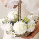 화동초등 이미지