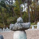 의령 수도사 석탑 및 승탑군 이미지