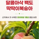 팡팡 - 남양주시 별내동 | 팡팡
