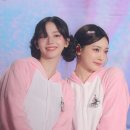 분홍돼지 이미지