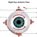 안경닥터 이미지