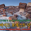 발음공원 티스토리