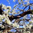 좋은축산마을 이미지