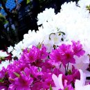 사람과사람 이미지