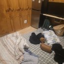 강화선두바다낚시터 | 강화도 선두바다낚시터 24시간 체험기｜밤낚시·방갈로숙박·방류시간·회까지 리얼 후기