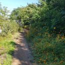 대불근린공원 이미지