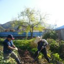 태수농장2 이미지