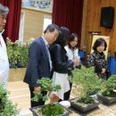 개령초등학교 이미지