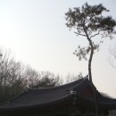 보석정 Daum카페