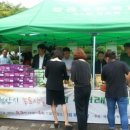 천안배원예농업협동조합(입장) 이미지