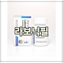 필약국 | 라보닉필 후기 6가지 정리 (효능·먹는 법·가격) 약국 구매 전 꼭 확인
