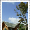 심스캐빈 이미지