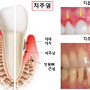 두암치과의원 이미지